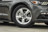 Used 2015 Ford Mustang Coupe w/ Enhanced Security Package image 2