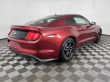 Used 2019 Ford Mustang Coupe w/ Equipment Group 101A image 5