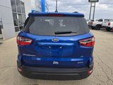 Used 2021 Ford EcoSport SE w/ SE Convenience Package image 5