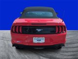 Used 2023 Ford Mustang Premium image 4