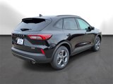 New 2025 Ford Escape ST-Line w/ Tech Pack #1 image 4