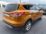Used 2016 Ford Escape Titanium w/ Equipment Group 301A image 6