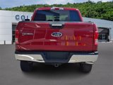 Used 2016 Ford F150 XLT w/ Equipment Group 301A Mid image 5