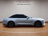 Used 2020 Ford Mustang Premium image 4