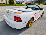 Used 1999 Ford Mustang Cobra image 5