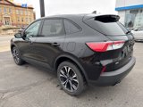 Used 2021 Ford Escape SE w/ SE Sport Appearance Package image 3