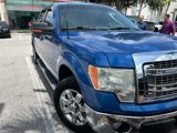 Used 2014 Ford F150 XLT w/ Equipment Group 302A Luxury image 4