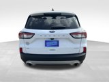 Used 2021 Ford Escape SE w/ Convenience Package image 5