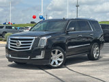 Used 2015 Cadillac Escalade Premium image 2