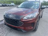 Used 2021 Ford Escape SE w/ SE Sport Appearance Package image 3