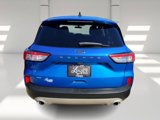 Used 2021 Ford Escape SE image 5