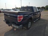 Used 2010 Ford F150 XLT image 5