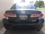 Used 2012 Honda Accord SE image 6