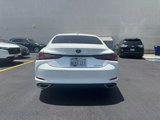Used 2019 Lexus ES 350 w/ Premium Package image 6