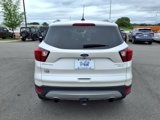 Used 2019 Ford Escape Titanium image 4