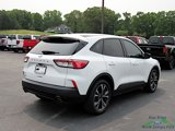 Used 2022 Ford Escape SE w/ SE Sport Appearance Package image 5