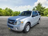 Used 2010 Ford Expedition XLT image 3