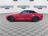 Used 2022 Ford Mustang Premium image 5