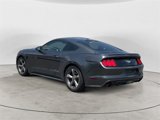 Used 2017 Ford Mustang Premium w/ Equipment Group 201A image 3