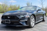 Used 2022 Ford Mustang Coupe image 2
