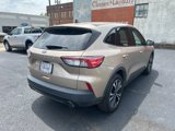 Used 2021 Ford Escape SE w/ SE Sport Appearance Package image 4