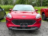 Used 2020 Ford Escape SE image 2