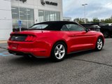 Used 2019 Ford Mustang Convertible image 4