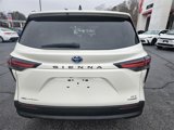 Used 2021 Toyota Sienna XLE image 6