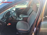 Used 2020 Ford Escape SE image 3