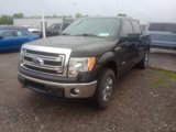 Used 2014 Ford F150 XLT image 5