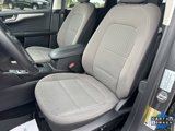 Used 2021 Ford Escape SE w/ SE Sport Appearance Package image 2