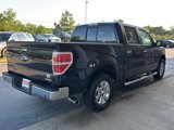 Used 2013 Ford F150 XLT w/ Luxury Equipment Group image 5