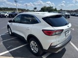 Used 2022 Ford Escape SE w/ Convenience Package image 4