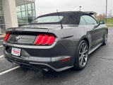 Used 2019 Ford Mustang Premium w/ Equipment Group 201A image 3