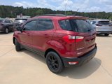 Used 2021 Ford EcoSport SE w/ SE Convenience Package image 6