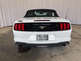 Used 2023 Ford Mustang Premium image 6