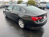 Used 2024 Chevrolet Malibu LT image 5