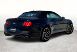 Used 2022 Ford Mustang Premium image 2