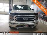 Used 2021 Ford F150 XLT w/ Equipment Group 302A High image 3