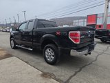 Used 2014 Ford F150 XLT image 6