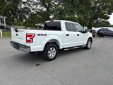 Used 2019 Ford F150 XLT w/ Equipment Group 301A Mid image 3