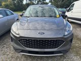 Used 2022 Ford Escape SE w/ Convenience Package image 2
