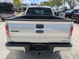 Used 2013 Ford F150 STX w/ Mid Equipment Group image 5