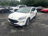 Used 2020 Ford Escape Titanium w/ Titanium Premium Package 2.0 image 3