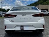 Used 2019 Hyundai Sonata SE w/ Cargo Package image 5