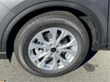 New 2025 Ford Escape Active w/ Cold Weather Package image 5