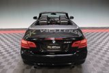 Used 2013 BMW 335i Convertible w/ Premium Pkg image 6