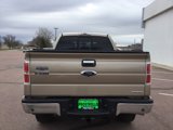 Used 2013 Ford F150 XLT w/ Luxury Equipment Group image 4