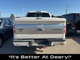 Used 2009 Ford F150 Platinum image 6