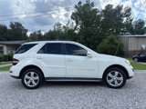 Used 2011 Mercedes-Benz ML 350 4MATIC image 6